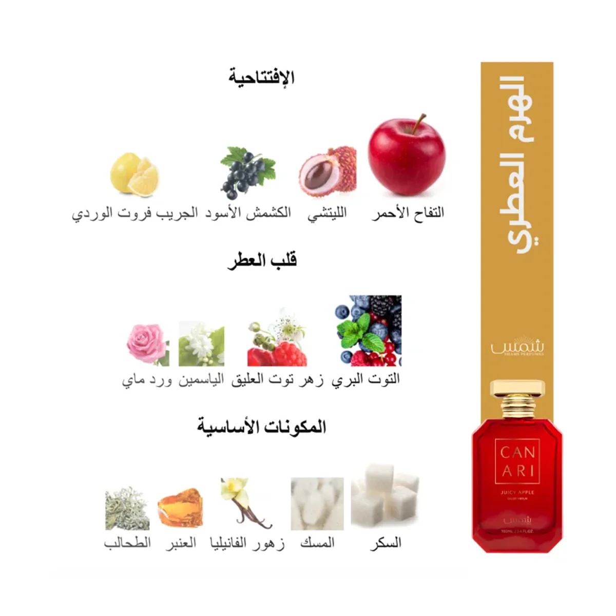 صورة المنتج 2