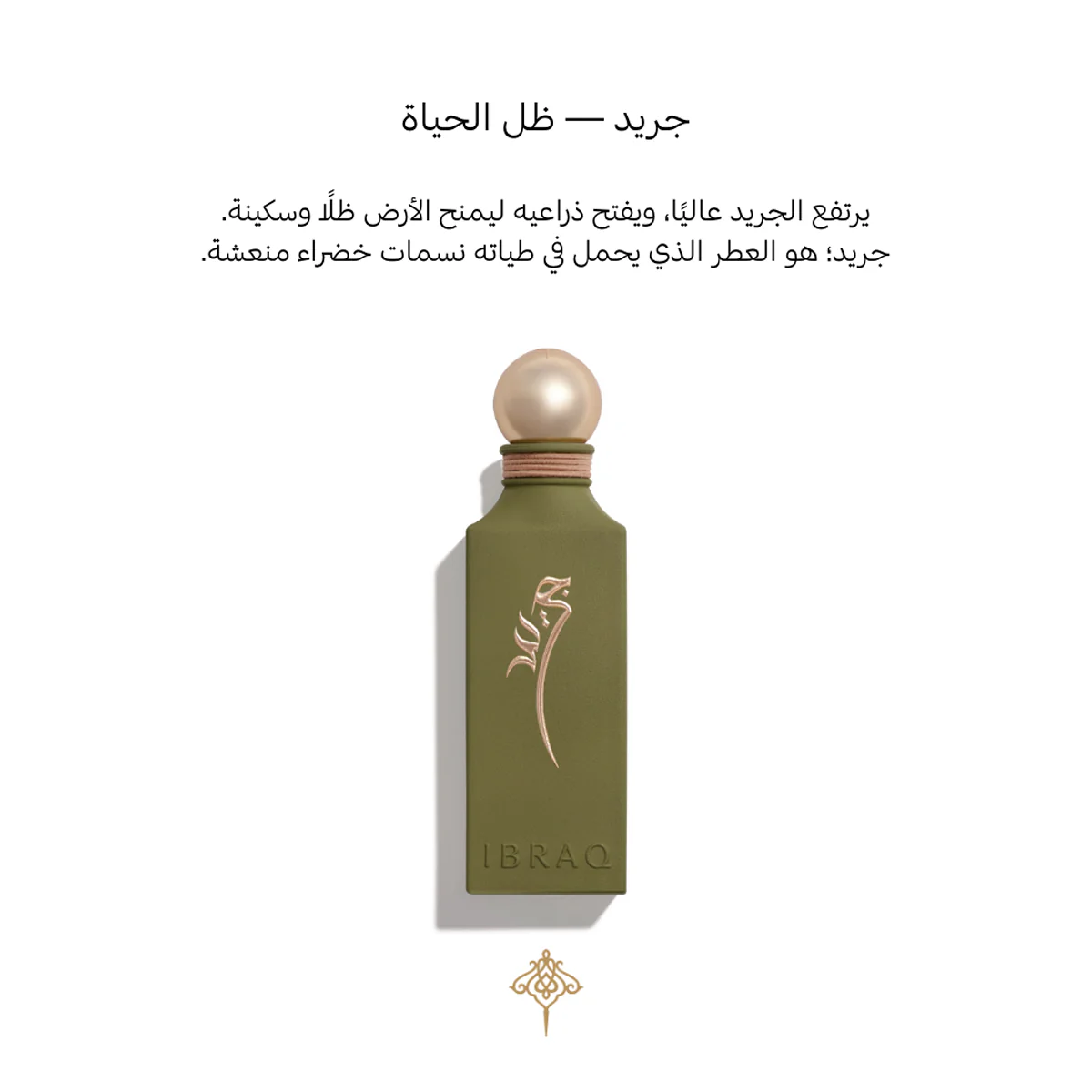 صورة المنتج 5